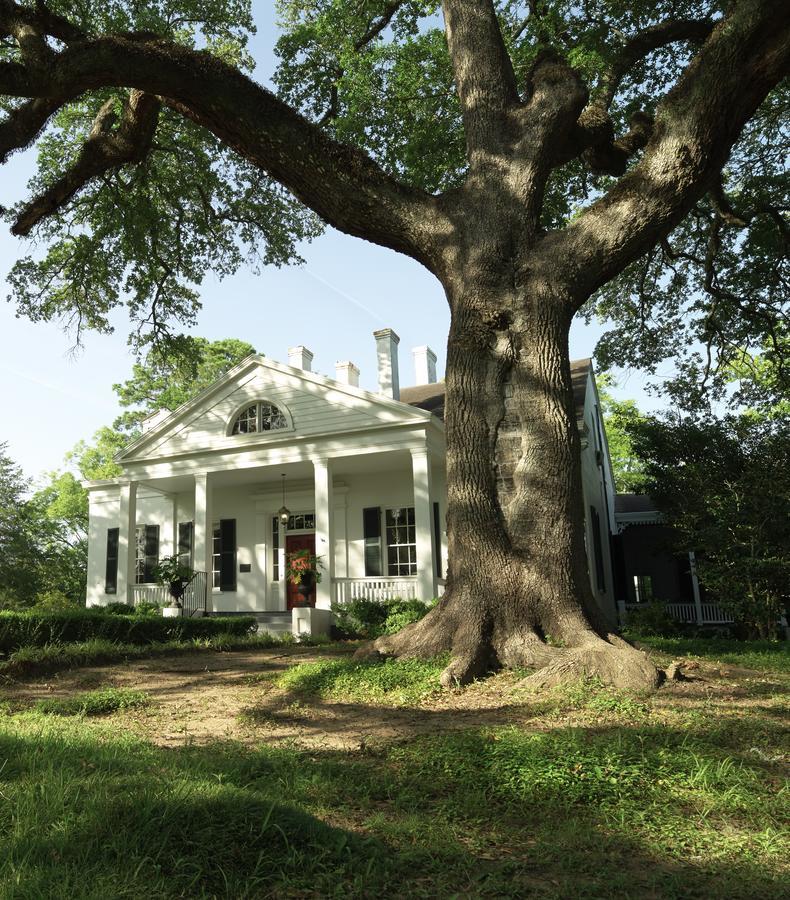 Twin Oaks Inn Natchez Εξωτερικό φωτογραφία